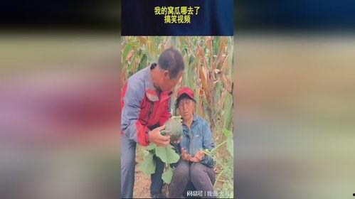 窝瓜影视,打造影视娱乐新天地